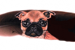 1_76-Bruno-Froehlichkeit-2