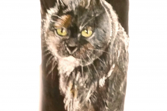 21-Katze-Sanftheit