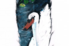 40-Schoenheit-Schwan