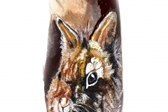 54-Kaninchen-Hase