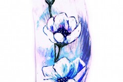 61-Christrose-2