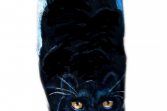 80-Panther-1-
