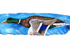 9-Ente