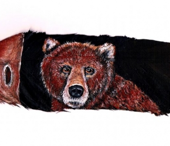 Baer November