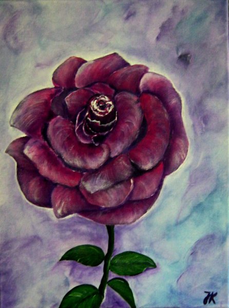 Rose dunkel