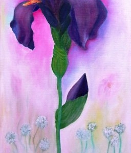 Iris