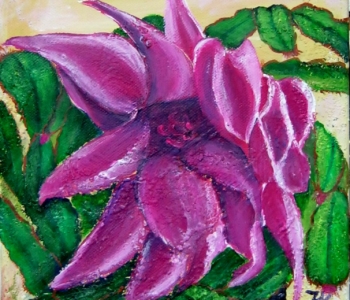 Kaktusblüte