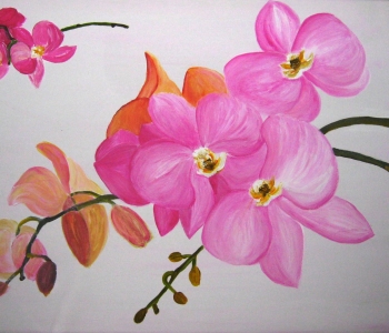 orchidee-verschiedene-farbe