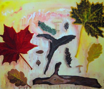 Wald-Funde