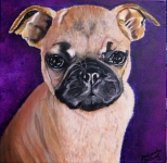 Tiere