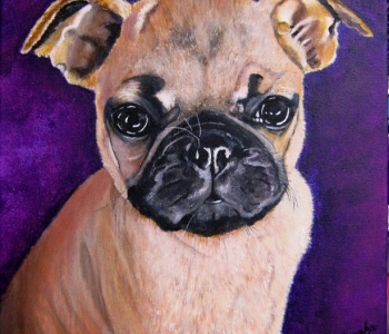 Bruno