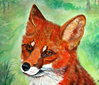 Fuchs