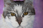 mausi