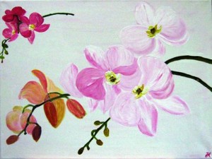 Orchidee